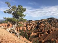 Bryce Canyon Thunder Mountain